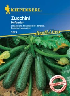 Zucchini Defender F1, Ertragreiche Frühreifende Hybride, Resistent Gegen Gurkenmosaikvirus