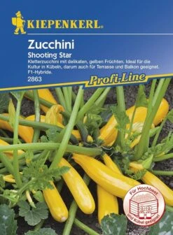 Zucchini Shooting Star Kletterzucchini