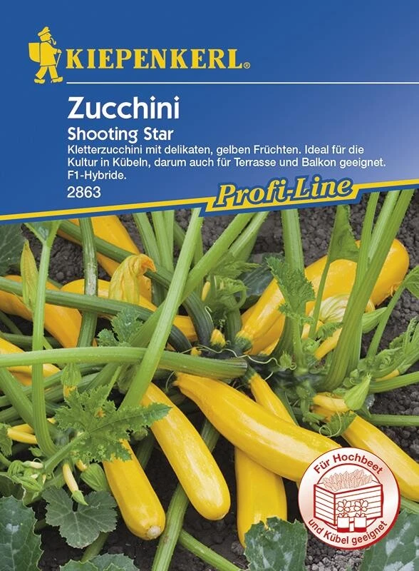 Zucchini Shooting Star Kletterzucchini