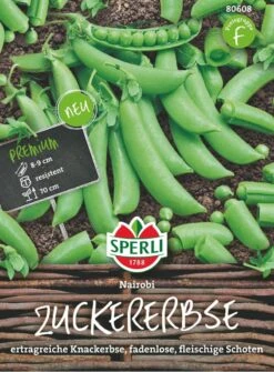 Zuckererbse Nairobi, Ertragreiche Knackerbse Fadenlose Fleischige Schote, Resistent