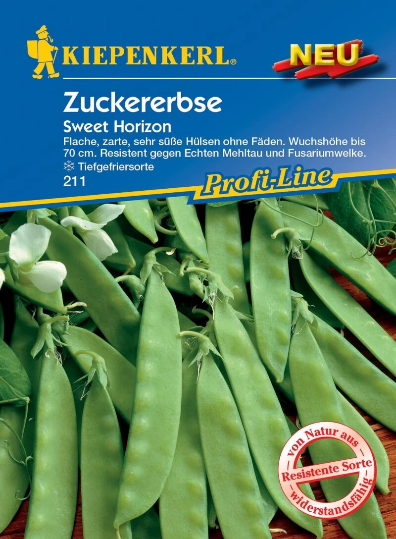 Zuckererbse Sweet Horizon, Flache Zarte Sehr Süße Hülsen Ohne Fäden, Resistent Gegen Echten Mehltau Und Fusariumwelke