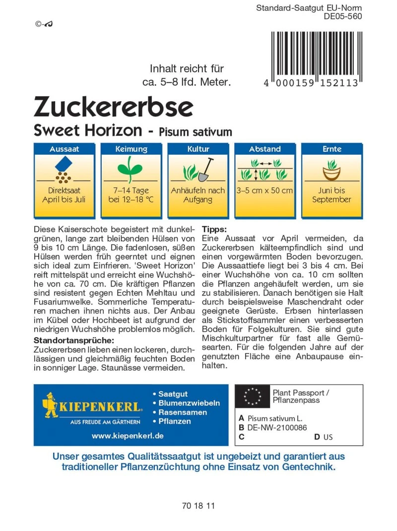 Zuckererbse Sweet Horizon, Flache Zarte Sehr Süße Hülsen Ohne Fäden, Resistent Gegen Echten Mehltau Und Fusariumwelke – Bild 3