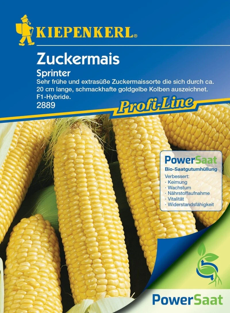 Zuckermais Sprinter (PowerSaat), Sehr Früh, Extrasüß, Hohe Trockenstress- Und Hitzetoleranz