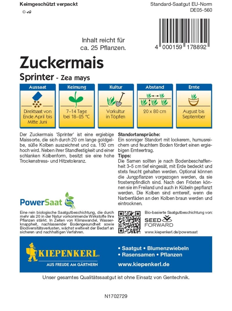 Zuckermais Sprinter (PowerSaat), Sehr Früh, Extrasüß, Hohe Trockenstress- Und Hitzetoleranz – Bild 2