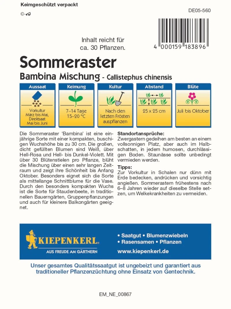 Zwergaster Bambina Mischung, Haltbare Aster Mit Buschigem Wuchs, Einjährig – Bild 2