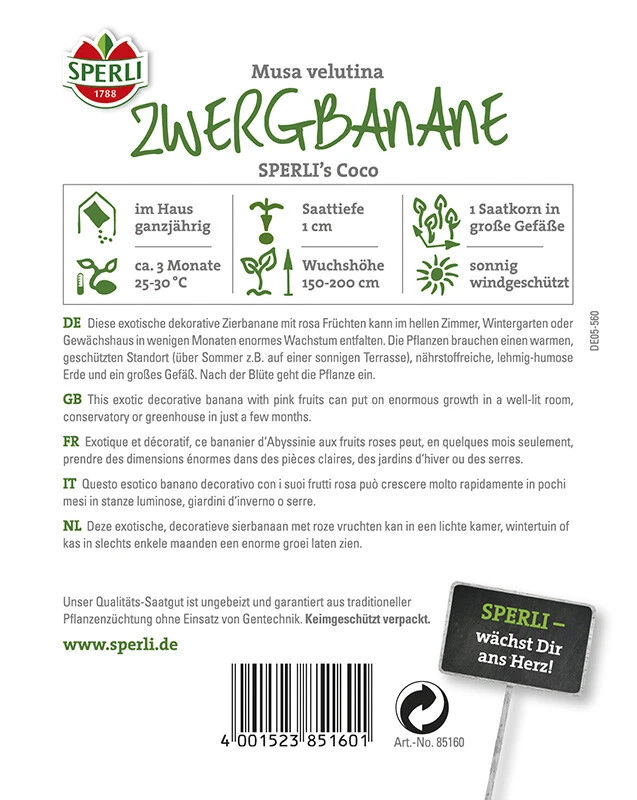 Zwergbanane Musa Velutina SPERLING´s Coco