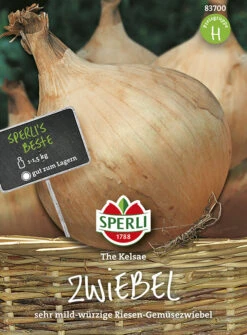 Zwiebel The Kelsae