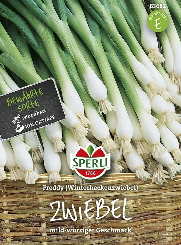Zwiebel Winterhecke Freddy | Mehrjährige Frostharte Winterheckenzwiebel | Mild-würzigen Geschmack
