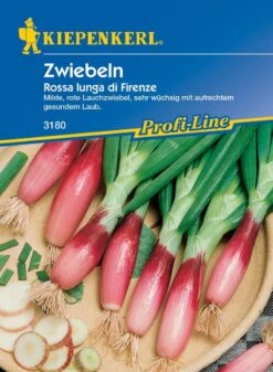 Zwiebeln Lauchzwiebeln Rossa Lunga Di Firenze Rote Von Florenz Rot